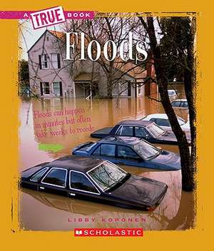 Floods de Libby Koponen