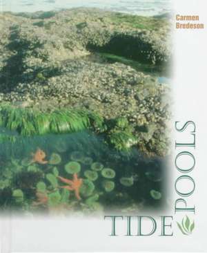 Tide Pools de Carmen Bredeson