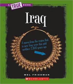 Iraq de Mel Friedman