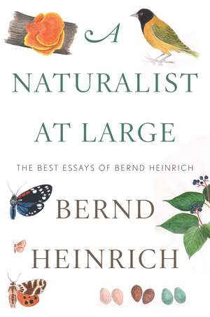 A Naturalist At Large: The Best Essays of Bernd Heinrich de Bernd Heinrich