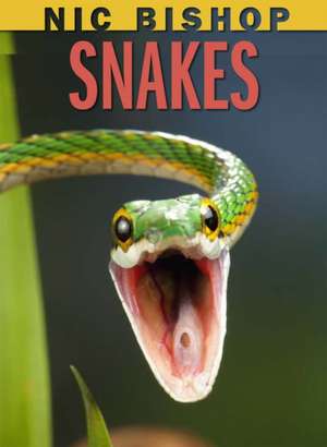 Snakes de Nic Bishop