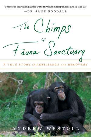 The Chimps Of Fauna Sanctuary: A True Story of Resilience and Recovery de Andrew Westoll