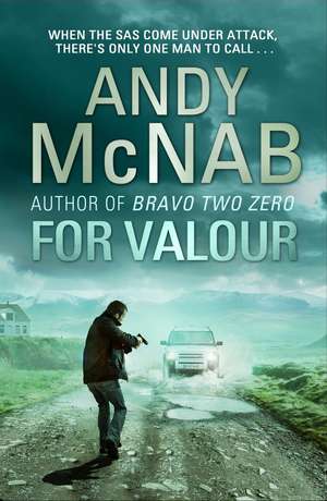 For Valour de Andy McNab