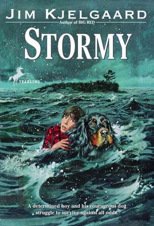 Stormy de Jim Kjelgaard