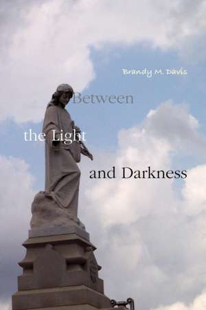 Between the Light and Darkness de Brandy Davis