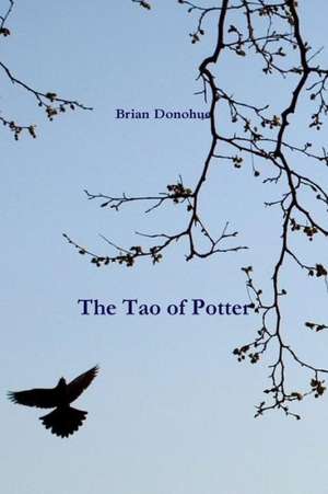 The Tao of Potter de Brian Donohue