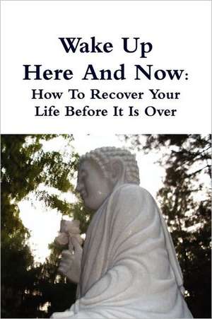 Wake Up Here and Now: How to Recover Your Life Before It Is Over de Thay Thich Thong Tri