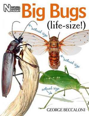 Big Bugs Life-Size de George Beccaloni