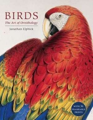 Birds de Jonathan Elphick