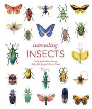 Interesting Insects de Ashley Kirk-Spriggs