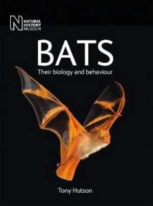 Bats de Tony Hutson