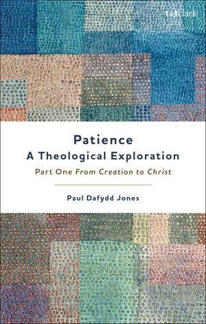 Patience—A Theological Exploration: Part One, from Creation to Christ de Dr Paul Dafydd Jones