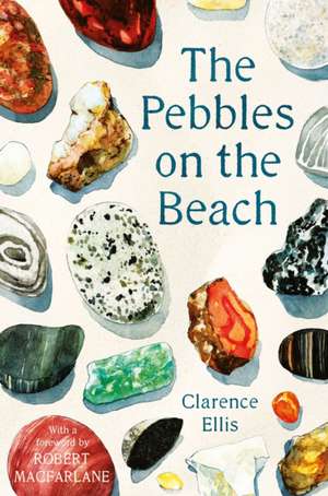 Pebbles on the Beach de Clarence Ellis