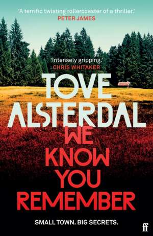 We Know You Remember de Tove Alsterdal