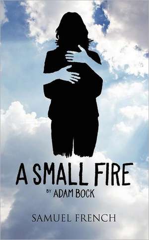 A Small Fire de Adam Bock