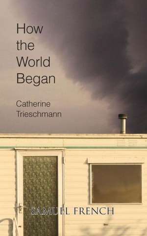 How the World Began de Catherine Trieschmann