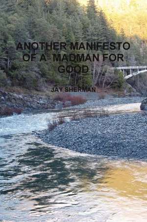 Another Manifesto of a Madman for Good de Jay Sherman