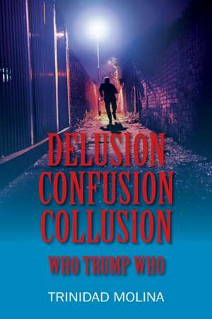 Delusion Confusion Collusion de Trinidad Molina