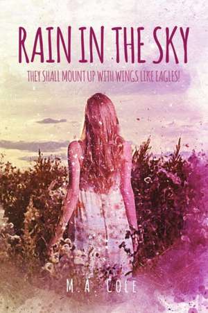 Rain in the Sky de M A Cole
