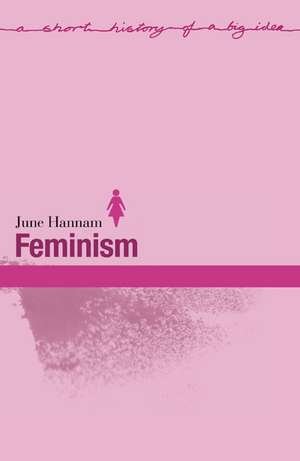 Feminism de June Hannam