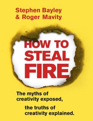 How to Steal Fire de Roger Mavity