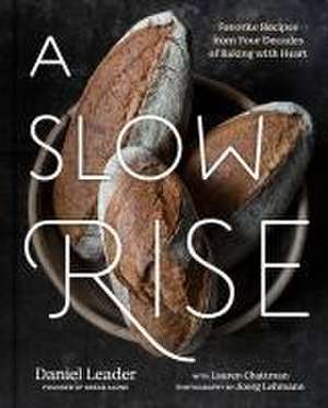 A Slow Rise de Daniel Leader