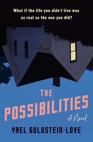 The Possibilities de Yael Goldstein-Love