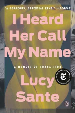 I Heard Her Call My Name de Lucy Sante