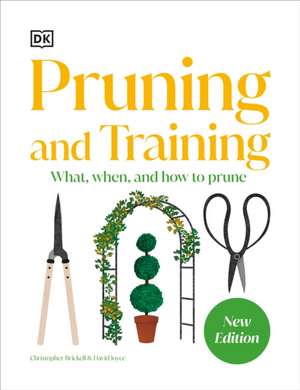 Pruning and Training de Dk