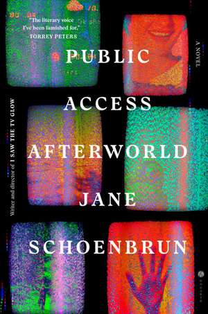 Public Access Afterworld de Jane Schoenbrun