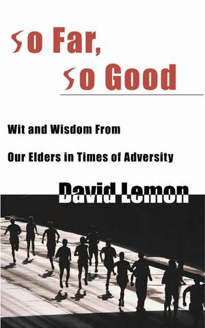 So Far, So Good de David Lemon