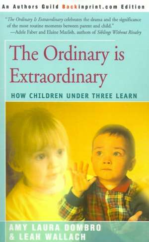 The Ordinary is Extraordinary de Amy Laura Dombro