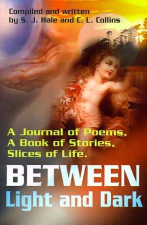 Between Light and Dark de S. J. Hale