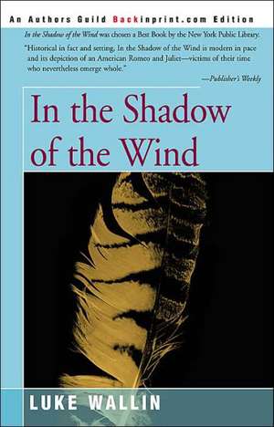 In the Shadow of the Wind de Luke Wallin