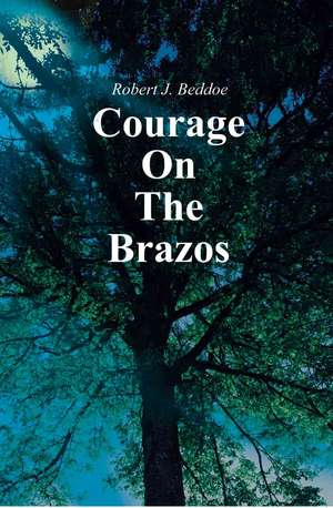 Courage on the Brazos de Robert J. Beddoe