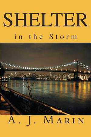 Shelter in the Storm de A. J. Marin