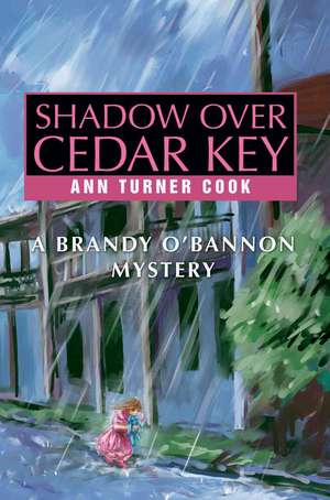 Shadow Over Cedar Key de Ann Turner Cook