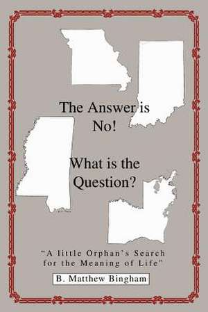 The Answer Is No! What Is the Question? de B. Matthew Bingham