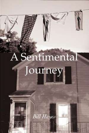 A Sentimental Journey de Bill Hayes