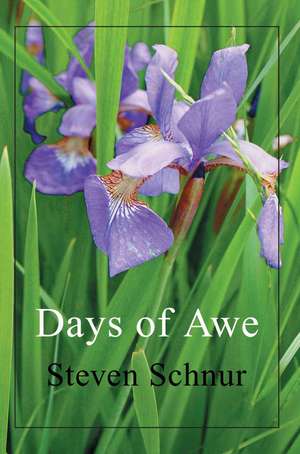 Days of Awe de Steven Schnur