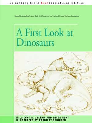 A First Look at Dinosaurs de Joyce Hunt