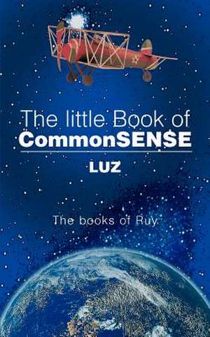 The Little Book of Commonsense de Luz