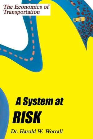 A System at Risk de Harold W. Worrall