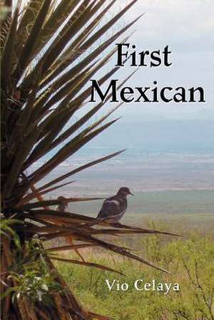 First Mexican de Vio Celaya