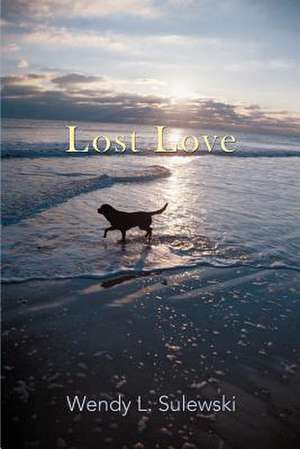 Lost Love de Wendy L. Sulewski