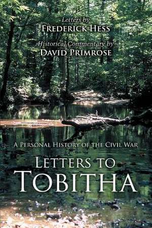 Letters to Tobitha de David Primrose