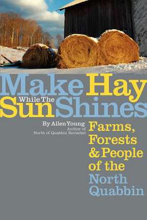 Make Hay While the Sun Shines de Allen Young