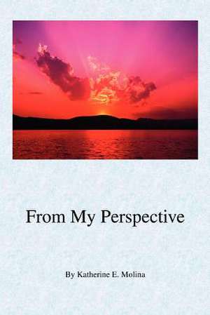 From My Perspective de Katherine E Molina