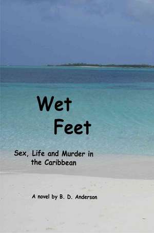 Wet Feet de Bd Anderson