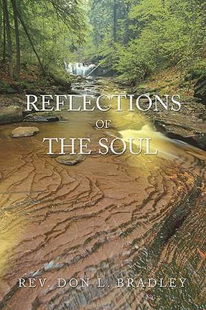 Reflections of the Soul de Don L. Bradley